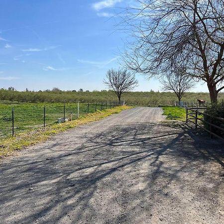 Adorable 1 Bedroom With Pool, And Horse Arena Oakdale Exterior foto